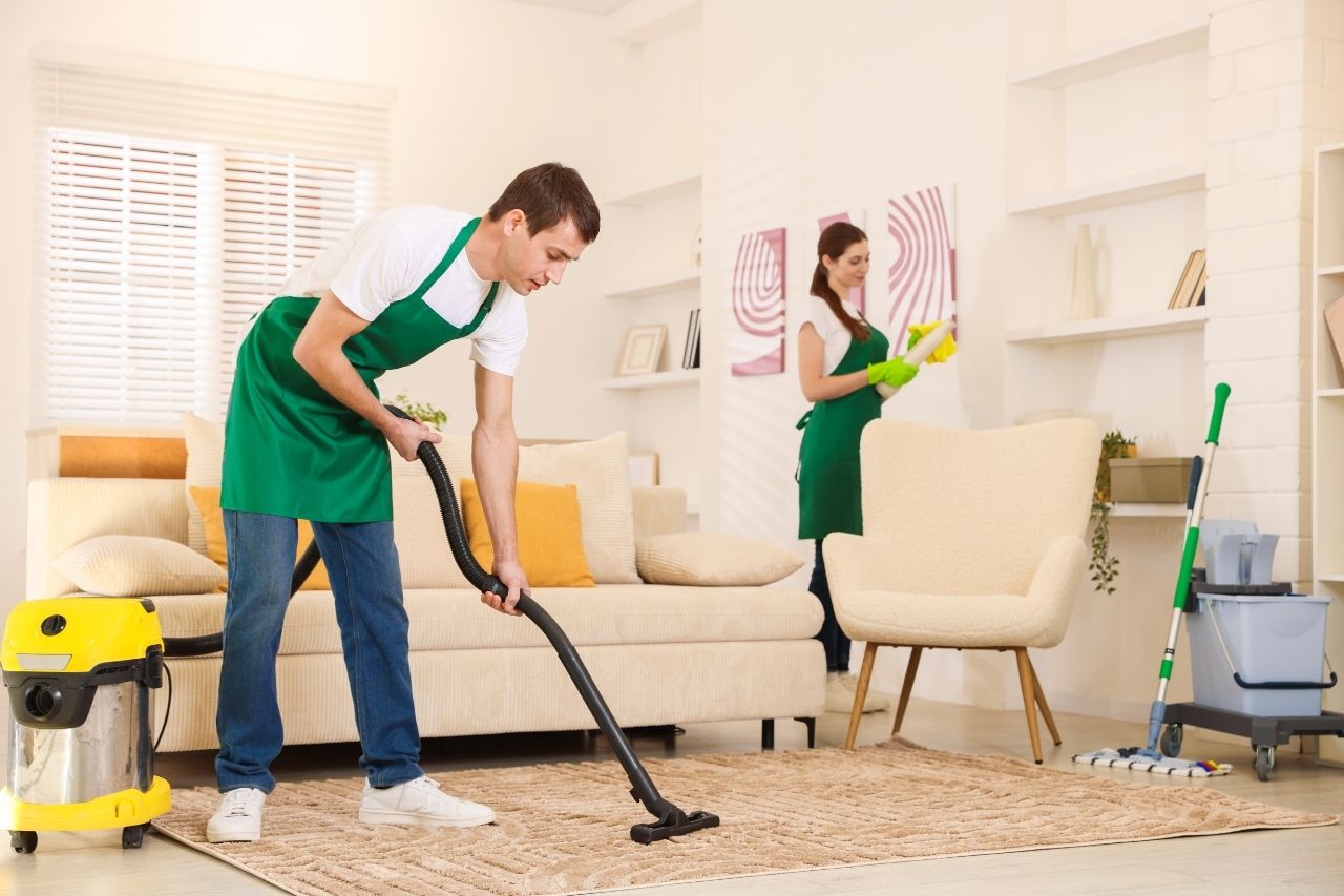 professional domestic cleaning