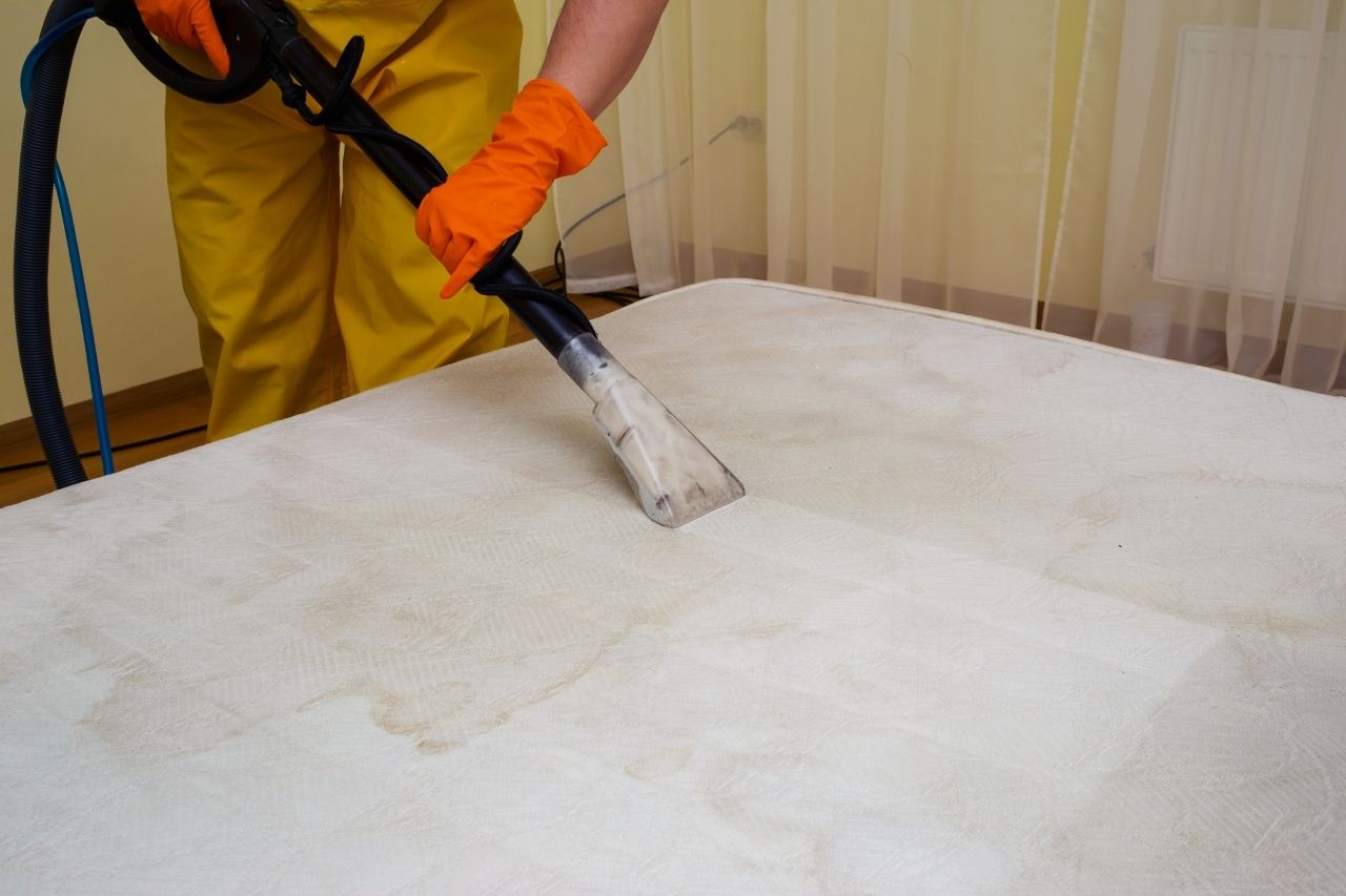 mattress cleaning service